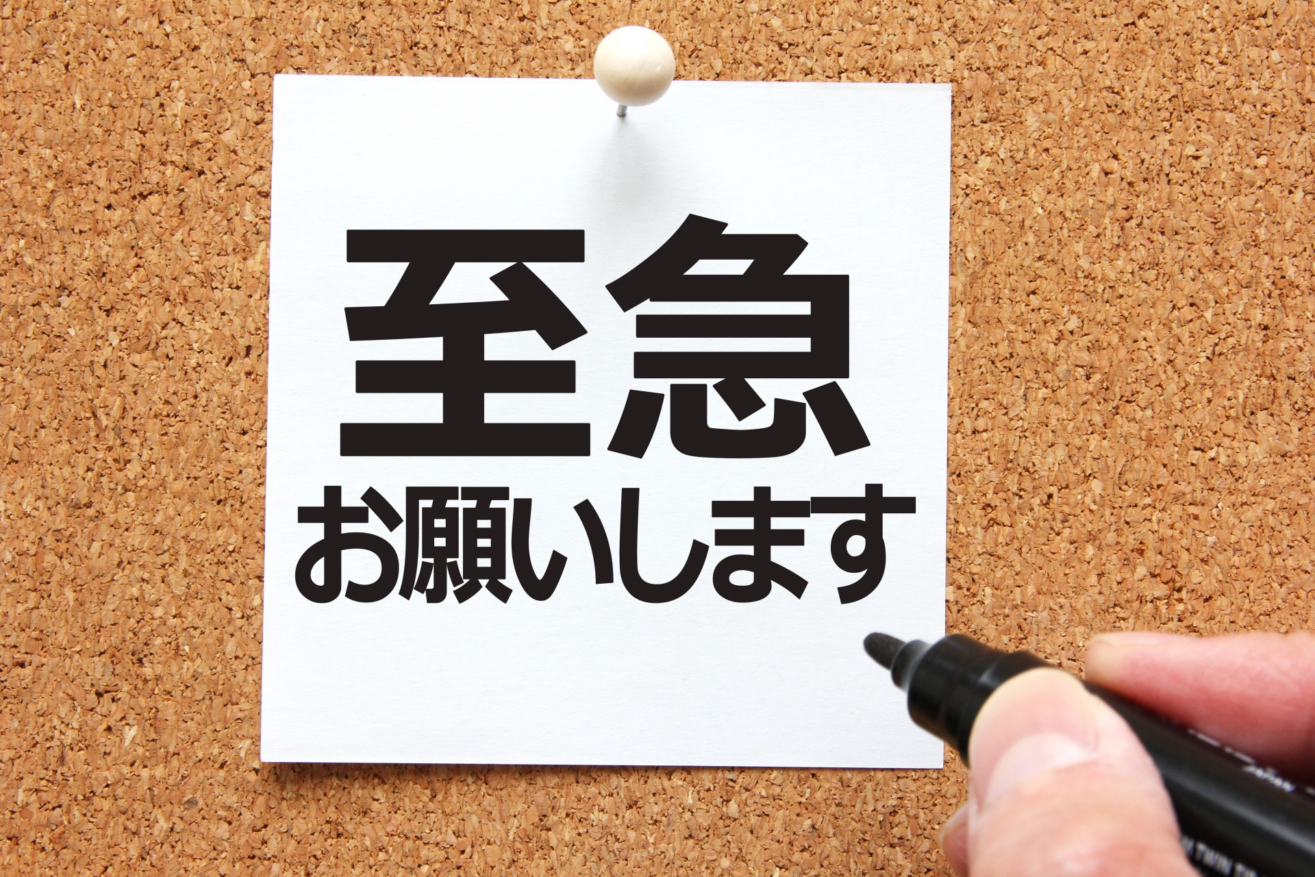 不動産売却、急ぎの方必見！