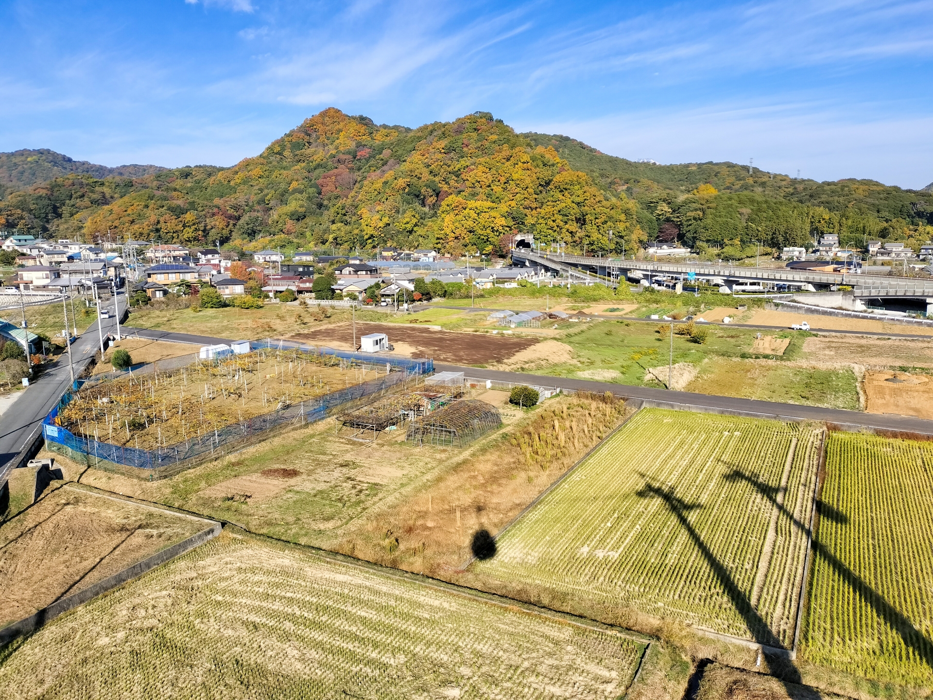 成功事例から学ぶ、実際の売却体験
