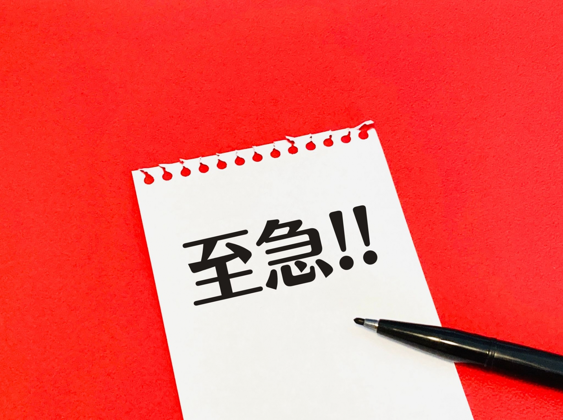タイトルテキストが入ります