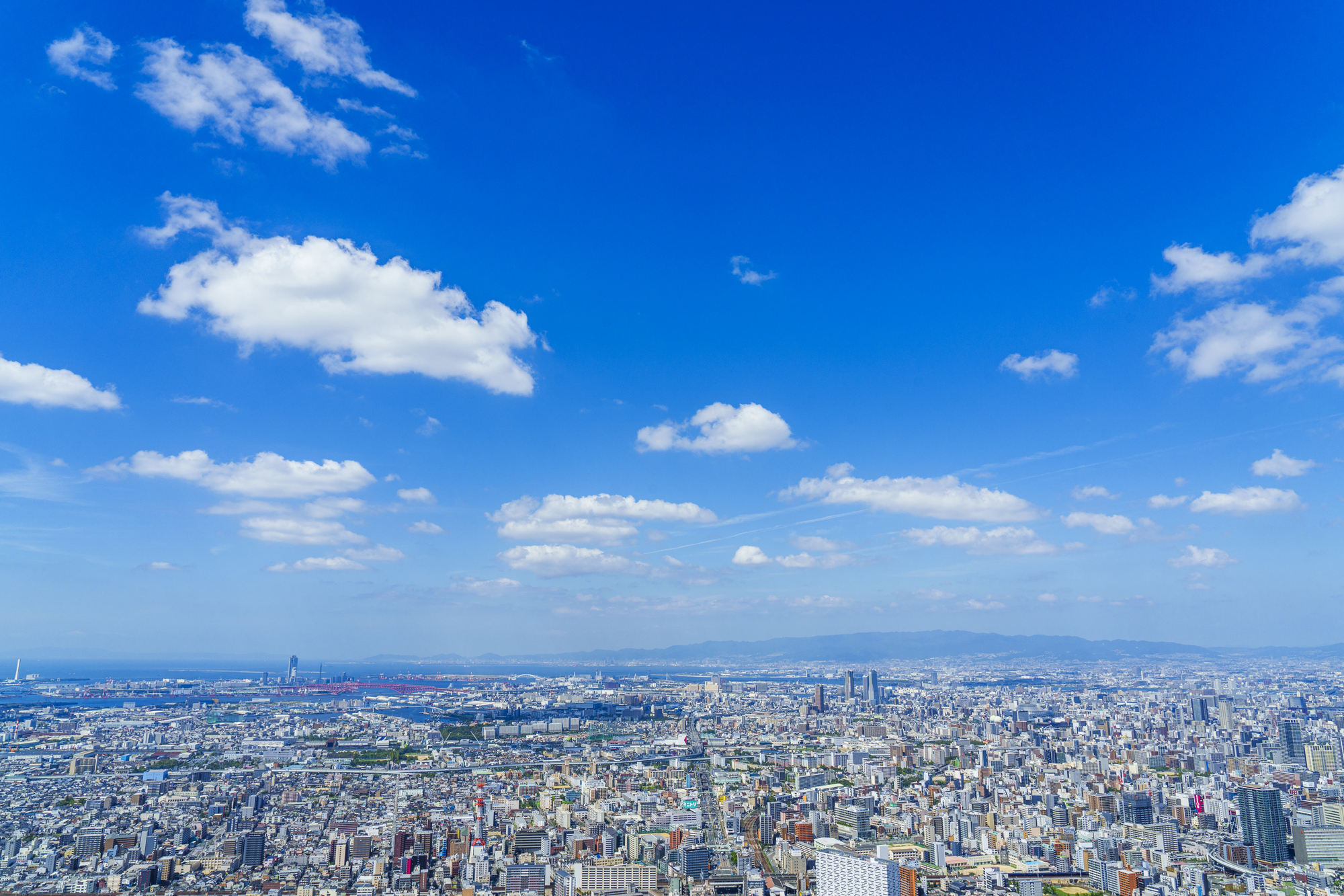 pixta_94529467_M
