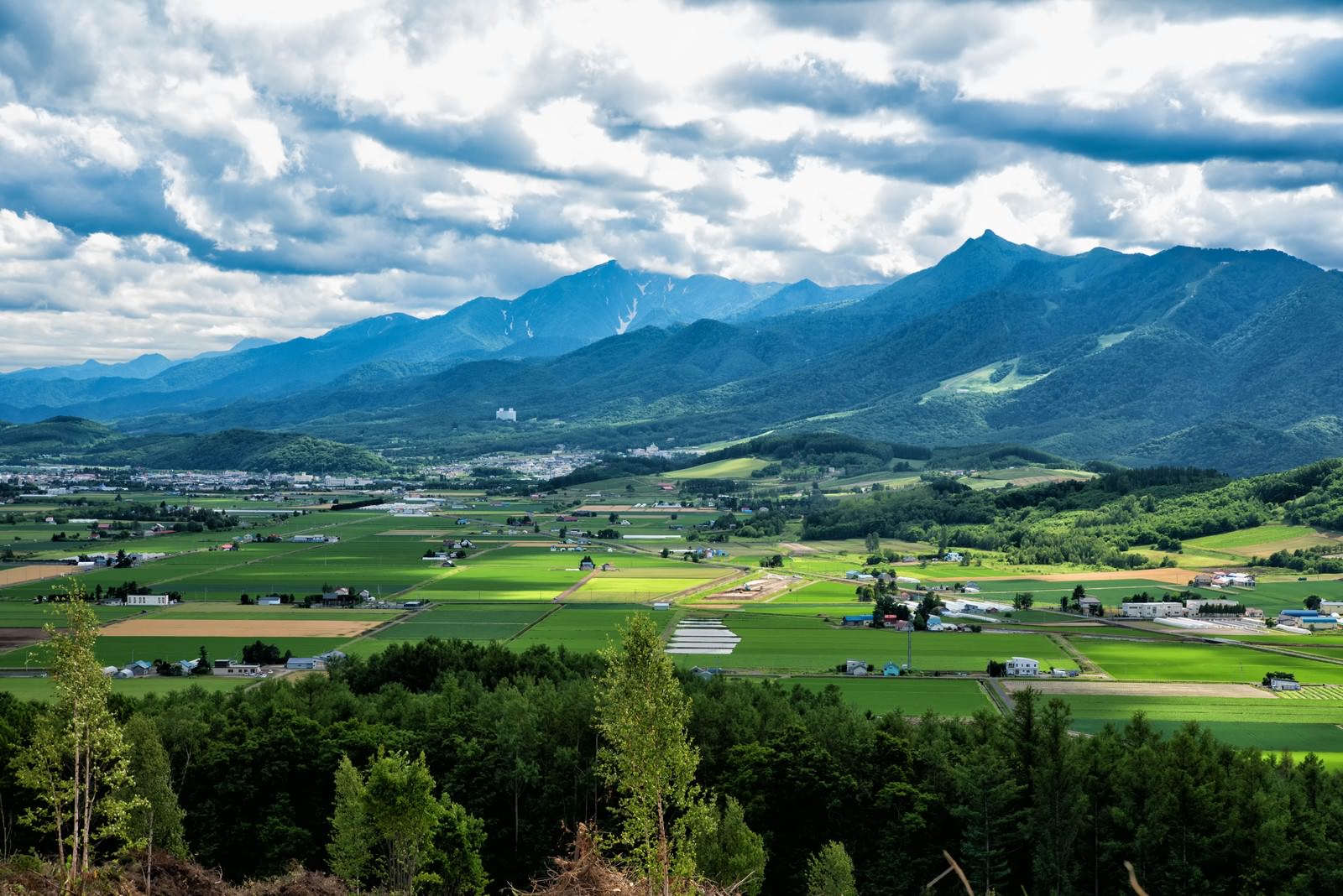 5. 土地評価のポイント