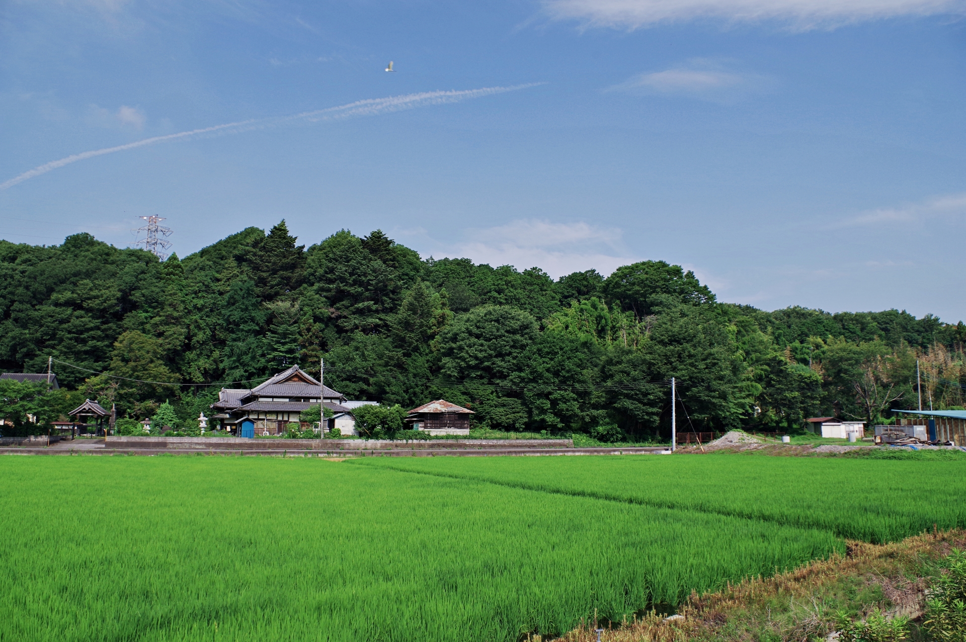 農家住宅を資産に変え、豊かな未来を手に入れましょう！